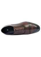 SUIT SELECT X REGAL CORPORATION <br> Straight Tip Shoes (Dark Brown)